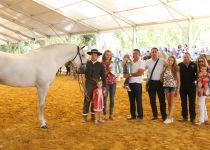 W CAMPEON ABSOLUTO DE FUNCIONALIDAD, ROMERO DE TRUJILLO, DE Y. TRUJILLO